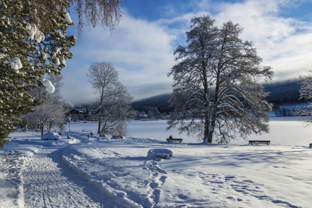 Waldtwin 2 Titisee Exterior photo